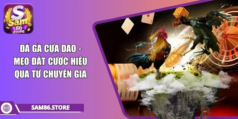 đá gà cựa dao