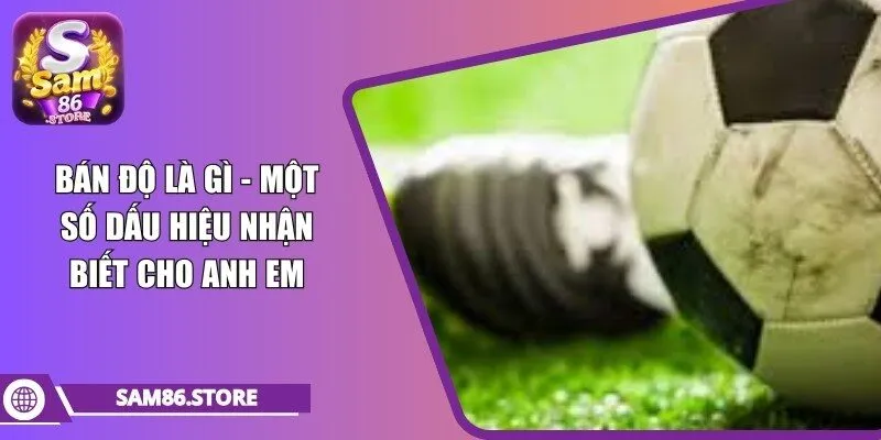 bán độ là gì